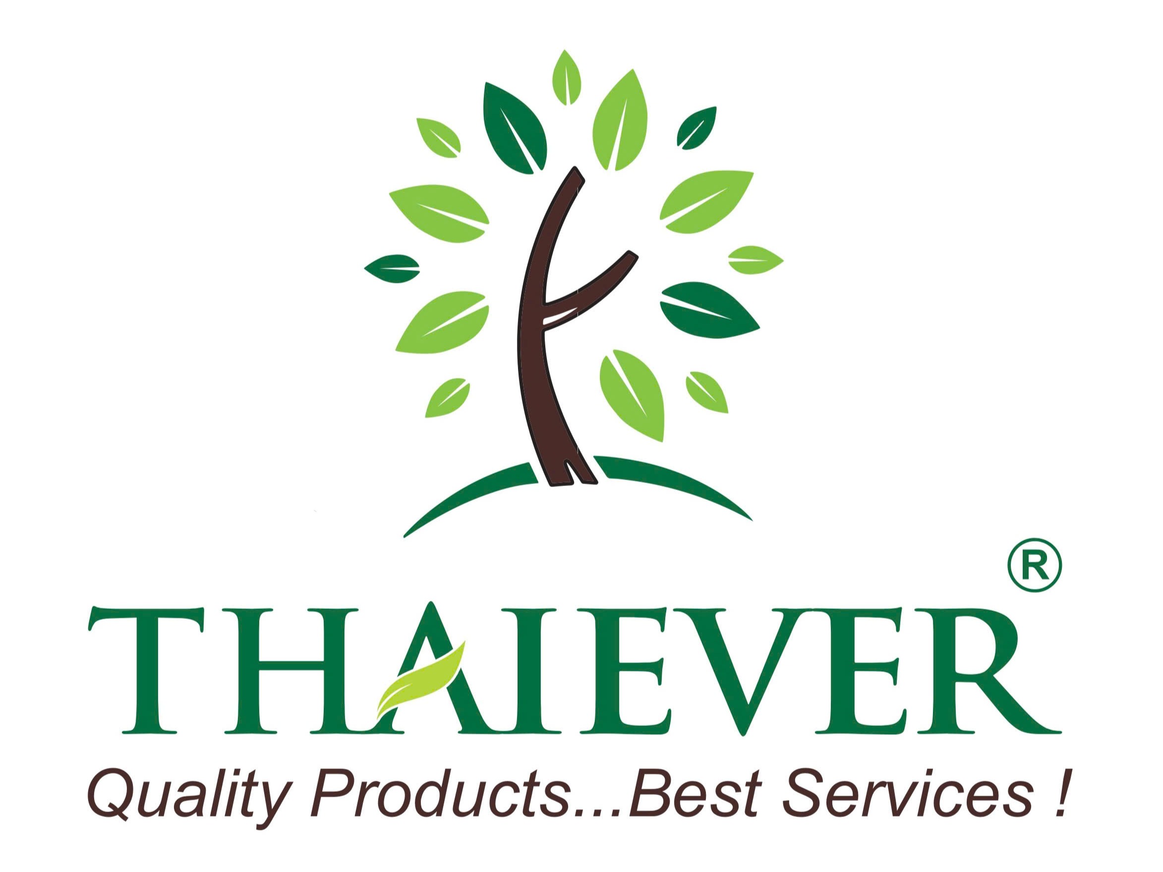 Header Logo